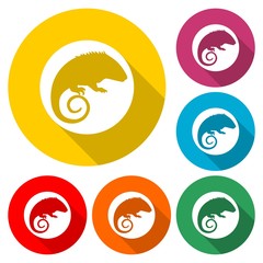 Chameleon icon in flat style with long shadow
