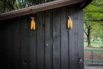 Tivoli Park, Liubliana, Slovenia