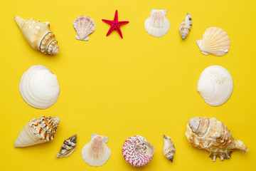 Hello Summer text on yellow background with Shells, red starfish. Hello summer travel vacation...