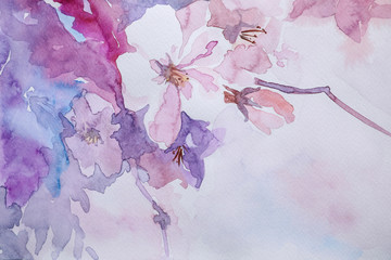 Fototapety  Zbliżenie widok pięknego kwiatowego malarstwa akwarelowego