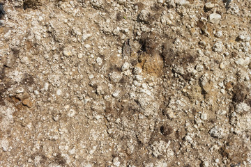 Soil surface. Clay and sand. Texture, close-up