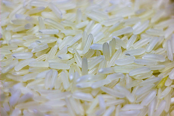white background of rice, macro picture