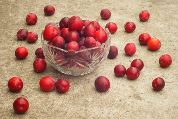 Harvest red plum. Fresh organic ripe plums. Mature red plum in a crystal vase on the background of concrete. Sweet summer harvest fruit in rustic style.