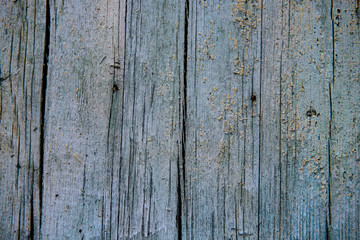 Nice old wooden wall with blue paint  texture abcstract