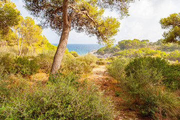 Fototapeta na wymiar Porto Cristo on Mallorca Island