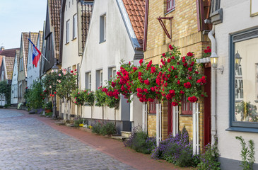 Fototapeta na wymiar Red roses in front of historic houses in Holm village in Germany