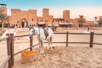 Stall with thoroughbred Arab horses near an ancient village in the desert Sands.