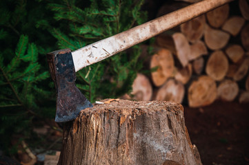 Ax on a wooden throne ready to cut firewood, background cut firewood and pine tree