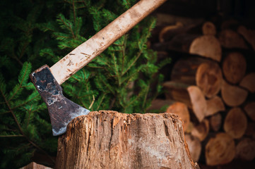 Ax on a wooden throne ready to cut firewood, background cut firewood and pine tree