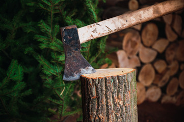 Ax on a wooden throne ready to cut firewood, background cut firewood and pine tree