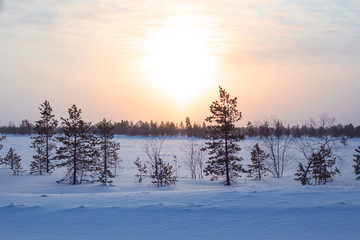 Fototapeta na wymiar winter dawn in the tundra