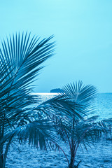 blue palm trees and sea
