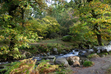 Fototapeta na wymiar Wicklow National Park, Ireland