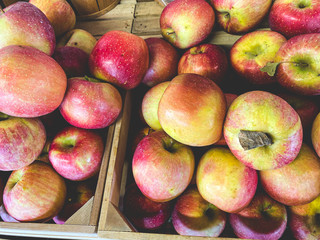 Bright red, yellow, and green apples in wooden baskets and crates. 