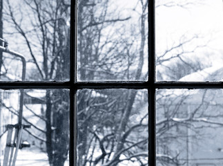 Winter view from window.