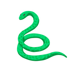Green Snake. Vector cartoon flat style illustration