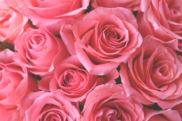 Beautiful bouquet of fresh pink roses in full bloom, close up.