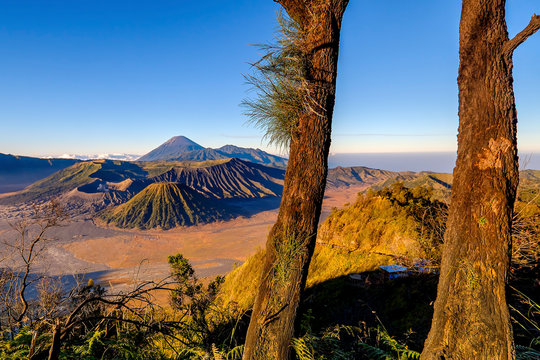 Mount Bromo at sunrise, Bromo Tengger Semeru National Park, East Java Province Indonesia