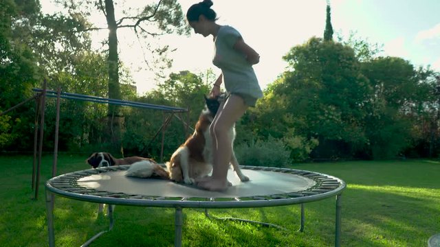 Saint Bernard and Young Girl Woman Jumping on Elastic Bed in Yard