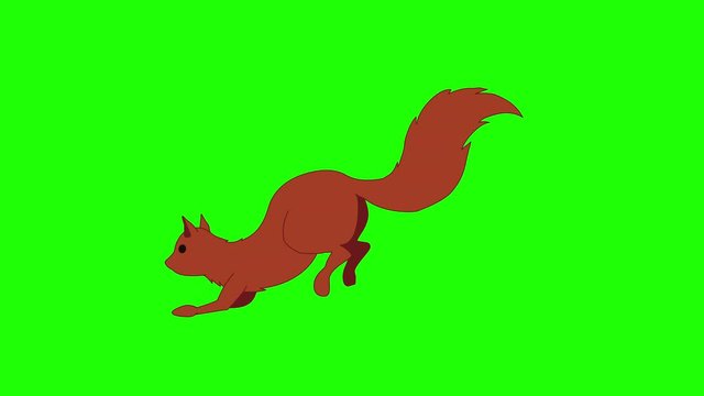 Looped animation of a running squirrel. Hand drawn animation on on a green background. 29.97 fps