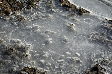 Frozen water in the feels crating interesting shapes in ice