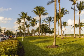 Beautiful landscape view of Miami South Beach. Buildings on one side and palm trees on another side. Blue sky and white clouds on background.