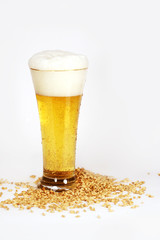 Glass of beer and malt seeds on white closeup