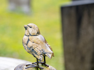 schöner kleiner Vogel auf einem Friedhof in Holland 