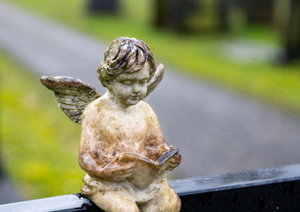 kleiner lesender Engel auf einem Friedhof in Holland 