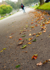 Man walking in autumn