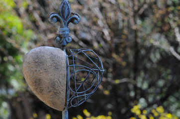in the garden