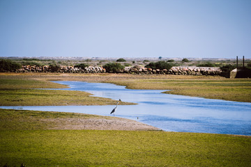 Ria Formosa Nature Park