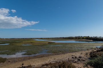 Ria Formosa Nature Park