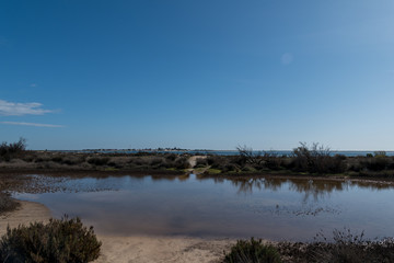 Ria Formosa Nature Park
