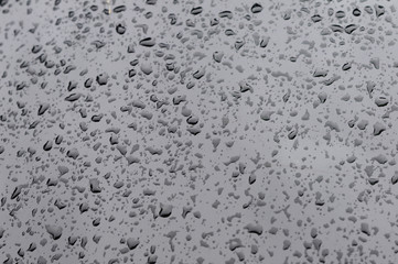 Raind Drops On Glass