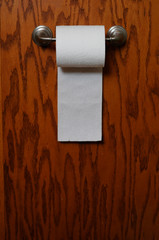 Full Roll Of Toilet Paper For Pandemic Season