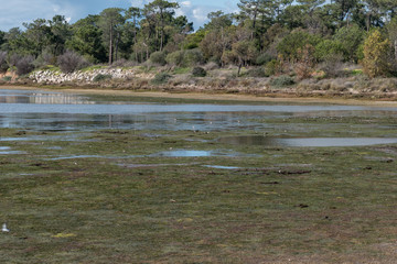 Ria Formosa Nature Park