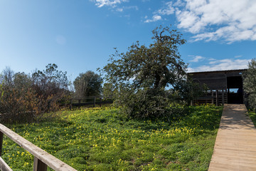 Ria Formosa Nature Park