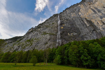 Waterfall from the skies 