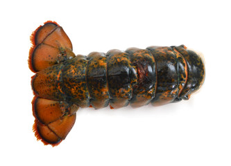 raw lobster tail