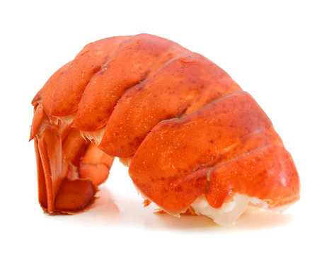 Lobster Tail