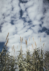 Ria Formosa Nature Park