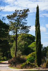 Ria Formosa Nature Park