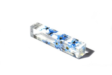 Beautiful simple blue and white background suitable for text insert. Dried blue forget-me-not...