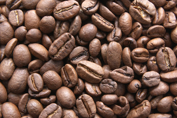 Coffee beans texture / Closeup coffee beans background backdrop