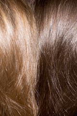 light and dark blond hair