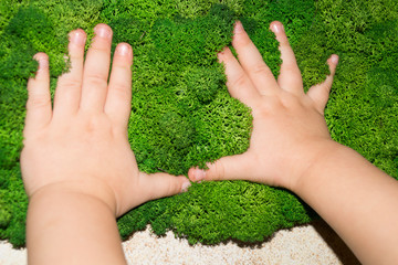 child's hands on green moss