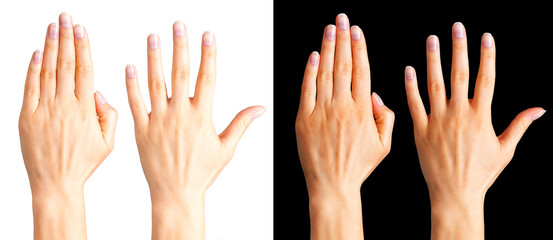 Set of women hands showing palm isolated on a white and black