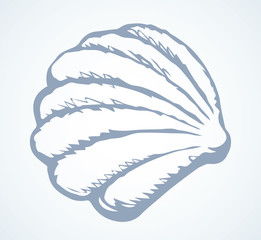 Shell with a pearl. Vector drawing