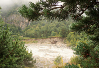 early morning in the mountains, view of the raging river after the rain